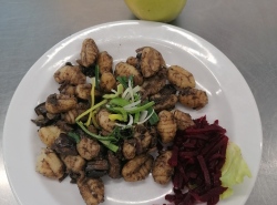 Pecene-gnocchi-s-houbami